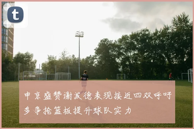 申京盛赞谢泼德表现接近四双呼吁多争抢篮板提升球队实力