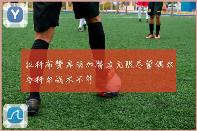 拉科布赞库明加潜力无限尽管偶尔与科尔战术不符