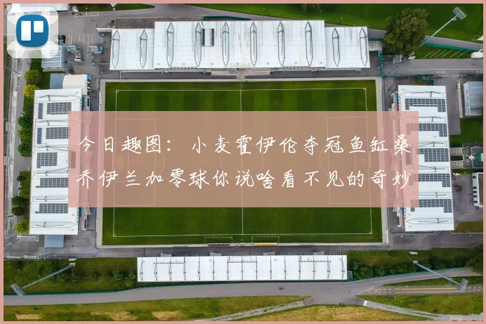 今日趣图：小麦霍伊伦夺冠鱼缸桑乔伊兰加零球你说啥看不见的奇妙瞬间